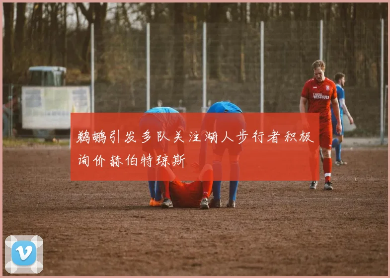 鹈鹕引发多队关注湖人步行者积极询价赫伯特琼斯